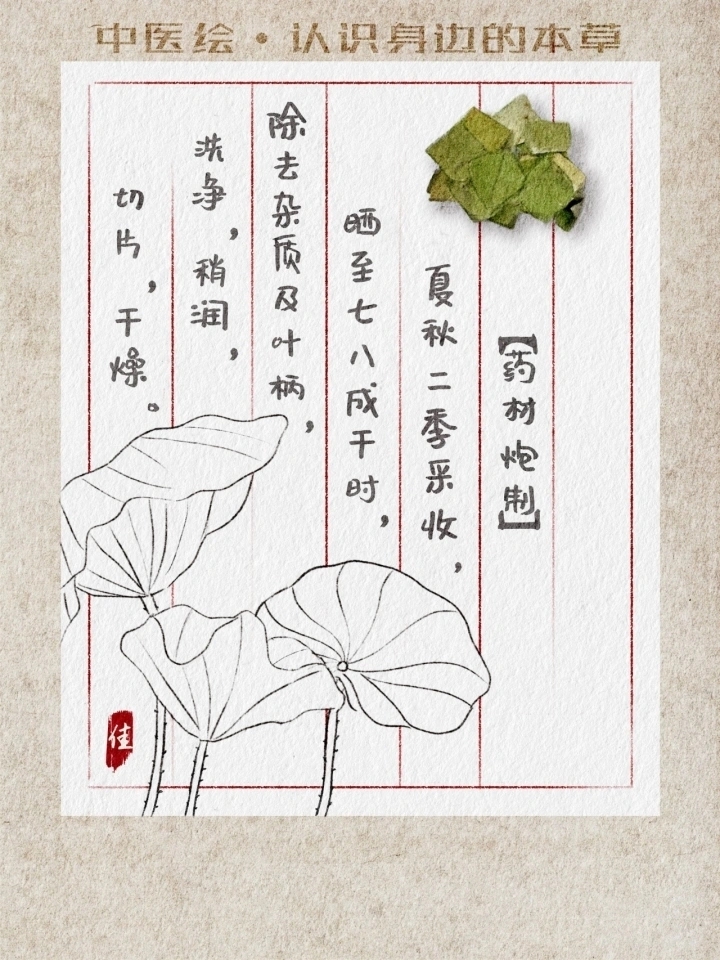 1000.webp (1)