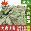 薄荷叶 花草茶 薄荷茶 干薄荷500克 初级农产品