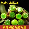 传宗堂 霍山铁皮石斛鲜条批发 四年生石斛鲜条胶质浓郁现采现发