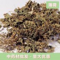 灏运堂中药材批发薄荷 薄荷粉食用批发产地直发批发量大价优