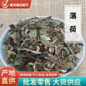 薄荷 干薄荷 中药材薄荷 500g 中药材薄荷 大货批发