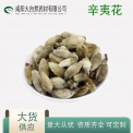 辛夷花 紫玉兰 望春花袋泡茶饮食品原料农产品大货供应批发1kg