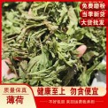 薄荷叶 薄荷切片 薄荷中药材 批发各种中药材