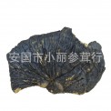 批发供应 薄树芝 薄树灵芝 灵芝 薄树层孔菌 薄树林芝