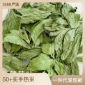 批发薄荷叶薄荷茶基地直供新货上市薄荷叶颗粒茶花草茶