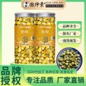张仲景泡茶罐装胎菊菊花茶养生茶批发40克桐乡胎菊花草茶一件代发
