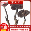 深山灵芝紫灵芝黑芝林芝紫芝整枝精选干货泡酒250g切片打粉