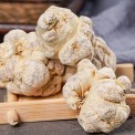 森宇 三七批发 田七可磨粉 原产地种植中药材供应