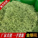 河南封丘金银花散装批发 金银花茶干金银花茶 一手货源量大从优